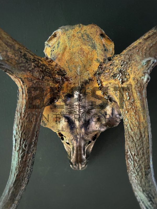 Metallized antlers of a fallow deer