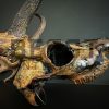 Metallized antlers of a fallow deer