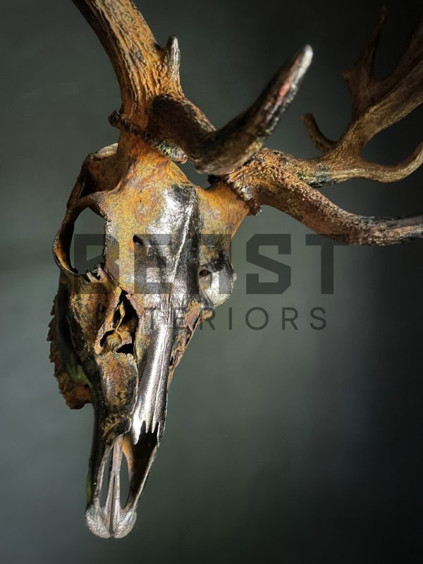 Metallized antlers of a fallow deer