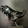 Opgezette haan (Ayam Cemani)