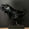 Opgezette haan (Ayam Cemani)