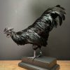 Opgezette haan (Ayam Cemani)