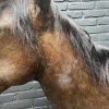 Opgezet paardenhoofd