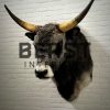 Wall lamp made of red deer antlers. Antler lamp