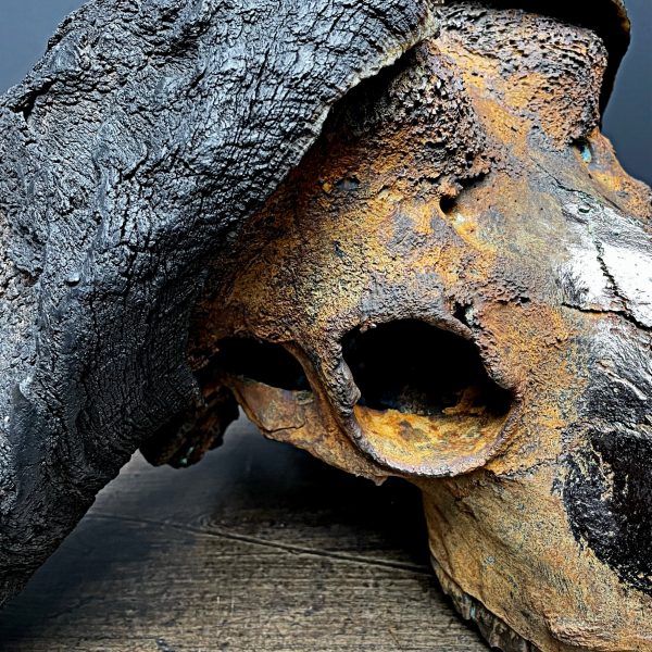 Gemetalliseerde schedel van een Kaapse buffel