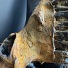 Gemetalliseerde schedel van een Kaapse buffel