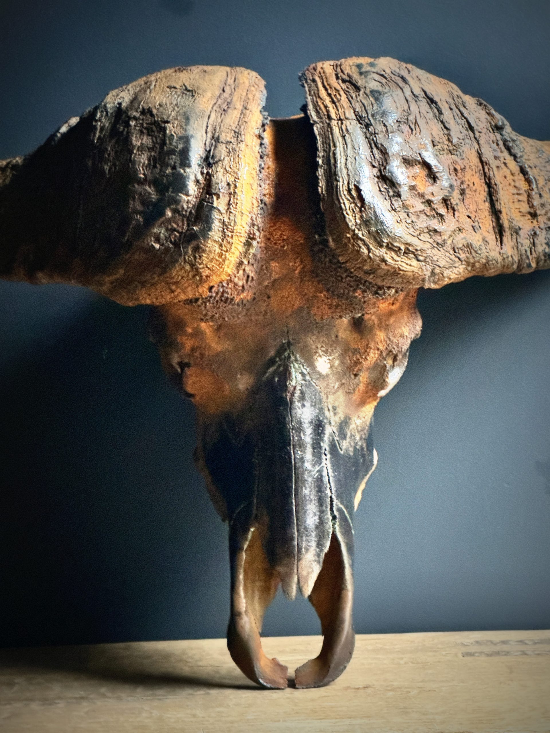 Gemetalliseerde schedel van een Kaapse buffel