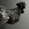 Opgezette haan (Ayam Cemani)