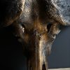 Gemetalliseerde Kaapse buffelschedel (voorbeeld)