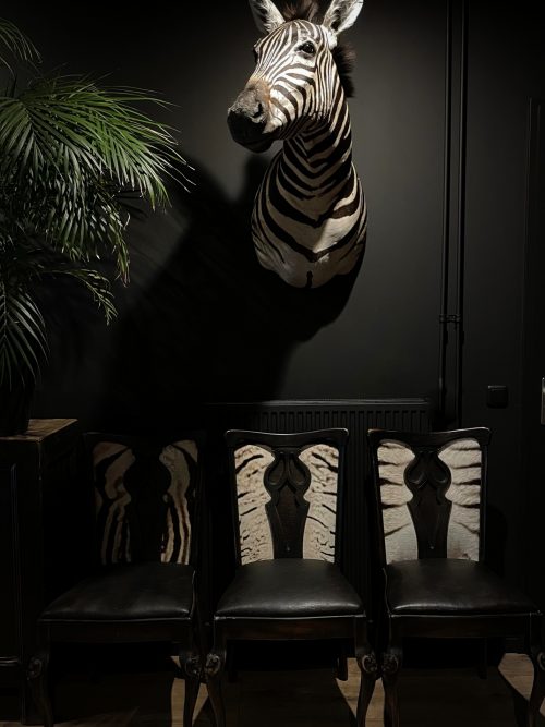 3 antieke stoelen bekleed met zebrahuid