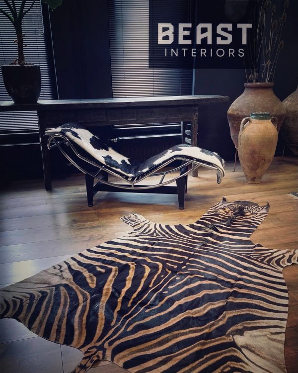 Zebravel