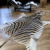 Gelooide huid van een zebra