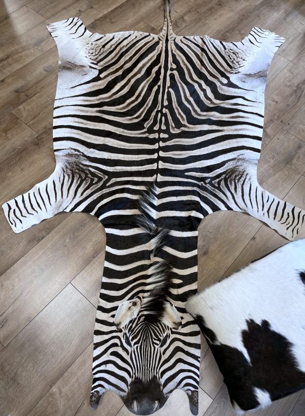 Gelooide huid van een zebra