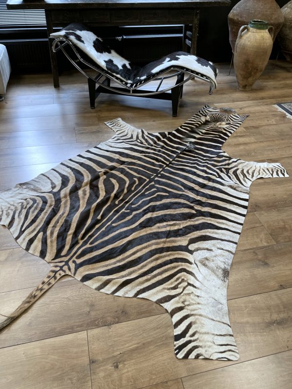 Zebravel