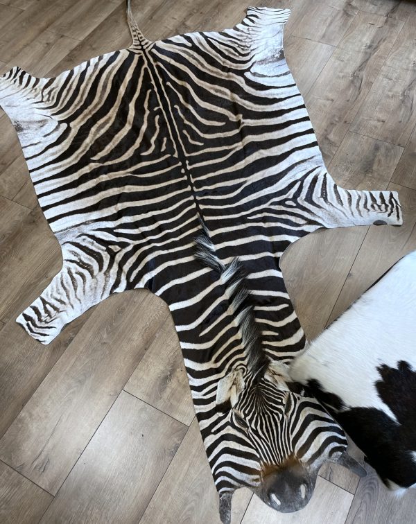 Zebravel