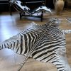 Zebravel