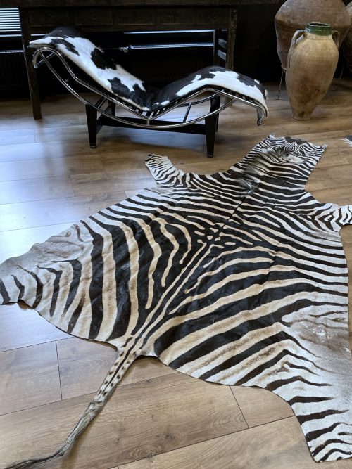 Zebravel
