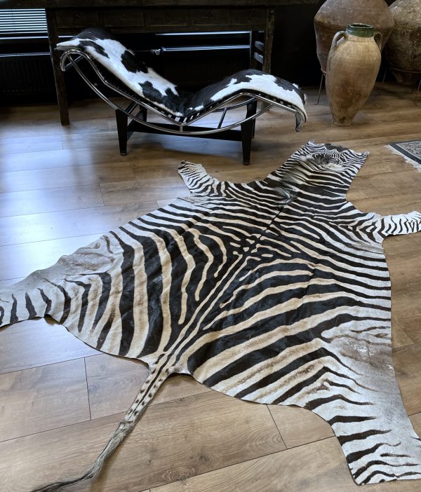 Zebravel