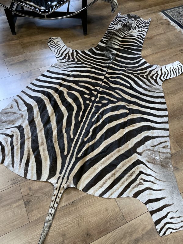 Zebravel