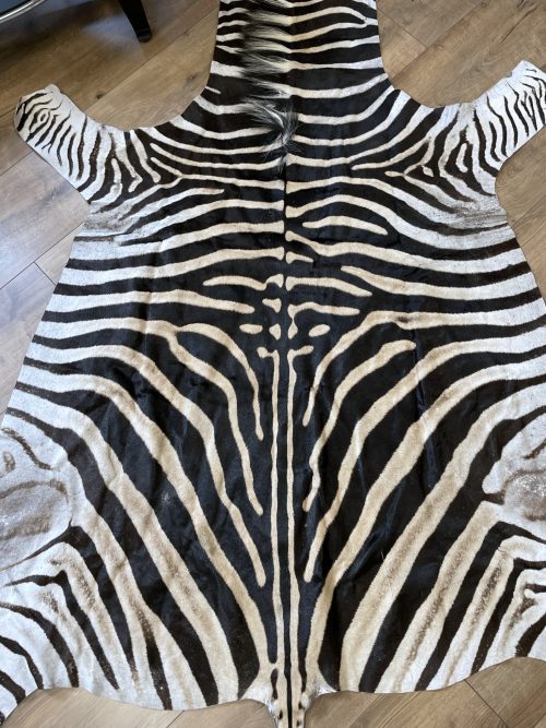 Zebravel