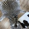 Zebravel