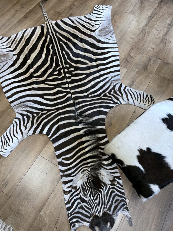 Zebravel