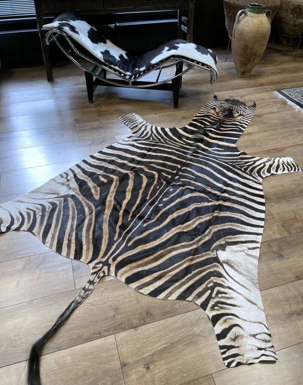 Zebravel