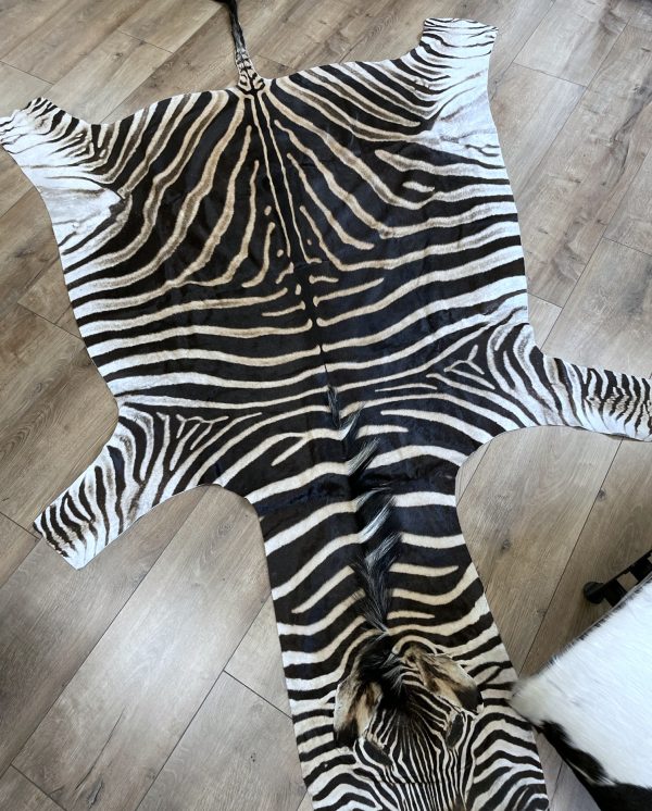 Zebravel