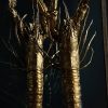 Houten stolp met opgezette gouden langoustines