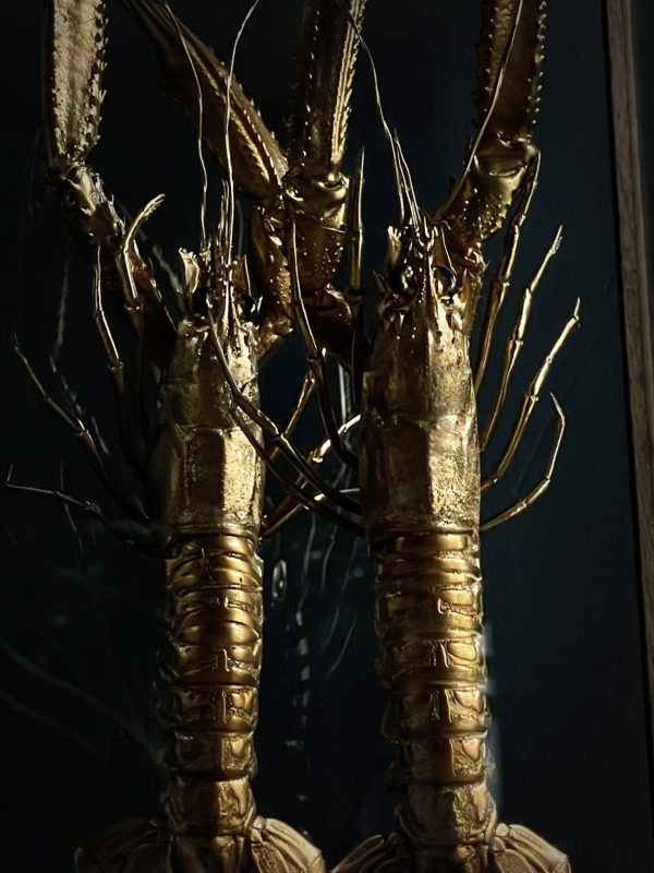 Houten stolp met opgezette gouden langoustines