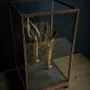 Houten stolp met opgezette gouden langoustines