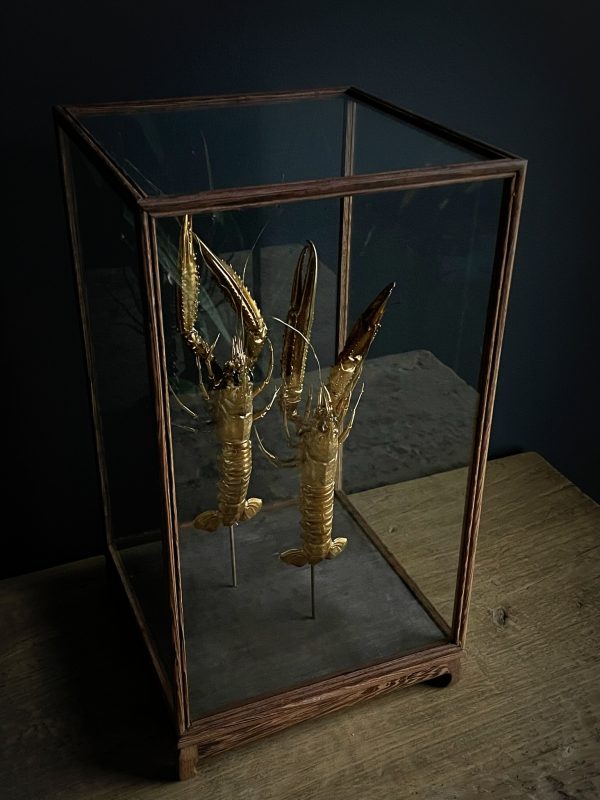 Houten stolp met opgezette gouden langoustines