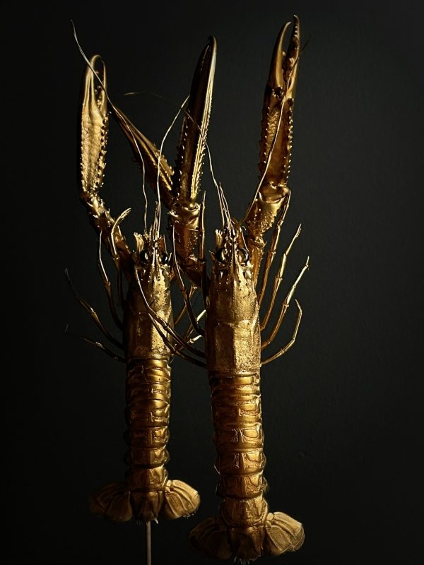 Houten stolp met opgezette gouden langoustines