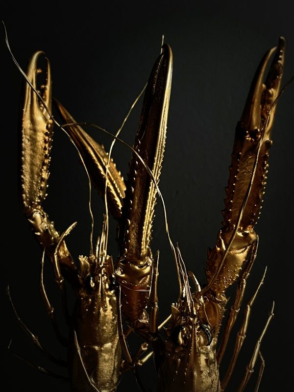 Houten stolp met opgezette gouden langoustines