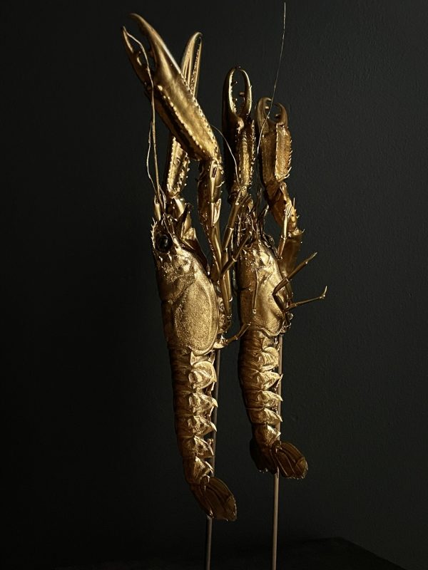 Houten stolp met opgezette gouden langoustines