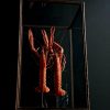 Houten stolp met opgezette langoustines