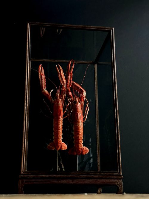 Houten stolp met opgezette langoustines