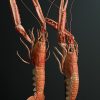 Houten stolp met opgezette langoustines