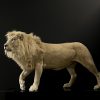 taxidermy white lion