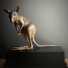 Opgezet jonge Bennett wallaby