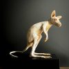 Opgezet jonge albino Bennett wallaby