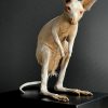 Opgezet jonge albino Bennett wallaby