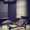 Cassina lc4 chaise lounge zebra.