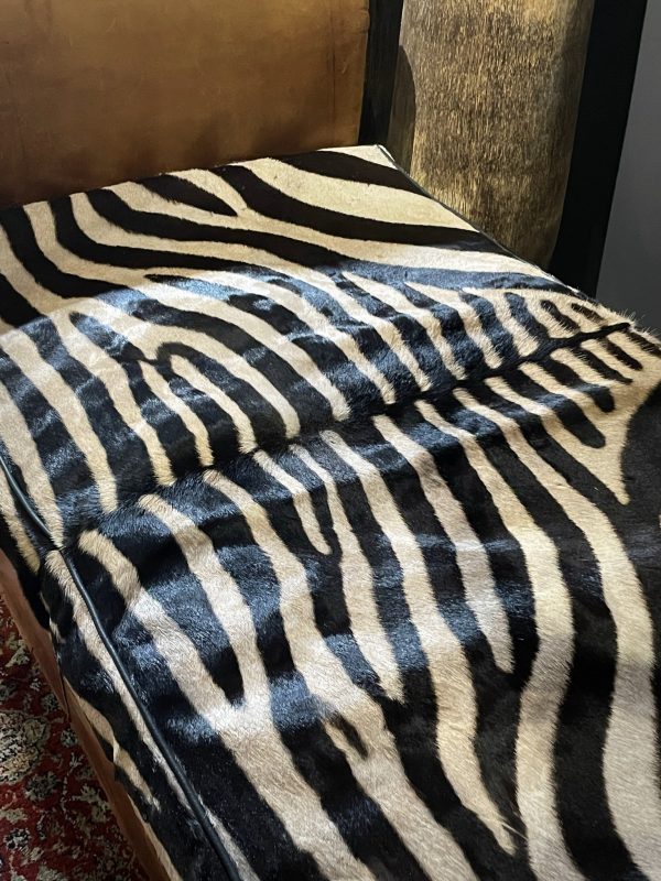 Antieke zebra Chaise lounge