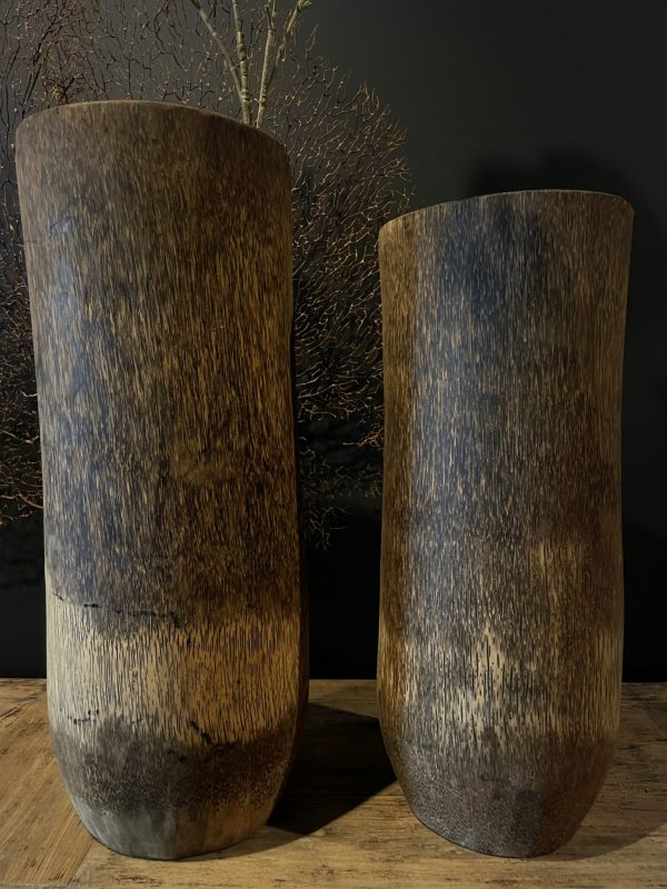 Palm vazen medium in diverse maten