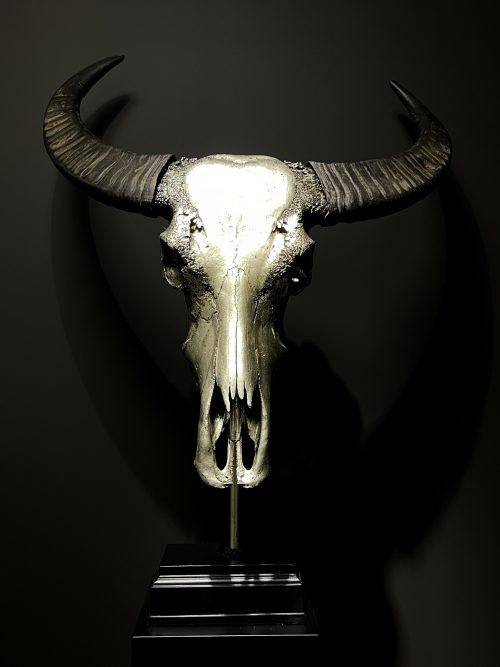 Gemetalliseerde schedel van een waterbuffel