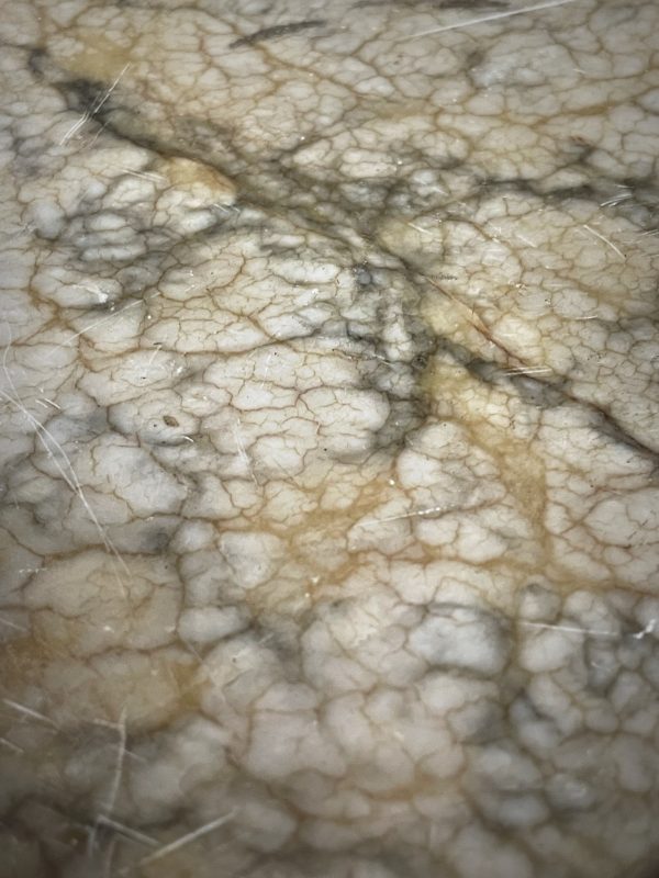 Antieke marmeren zuil