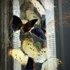 Antieke Stolp met prachtige vlinders