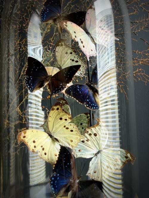 Antieke Stolp met prachtige vlinders
