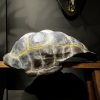 Replica van een Galapagos schildpad schild